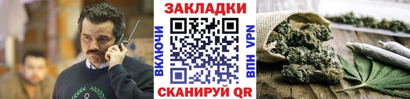 Виды наркотиков купить Ясный ГАШИШ  Псилоцибиновые грибы  КОКАИН  Alpha PVP  Мефедрон  Канабис 
