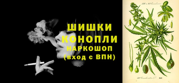 PSILOCYBIN Магадан