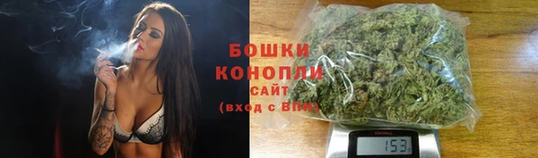 PSILOCYBIN Магадан