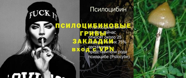 МДПВ Майский