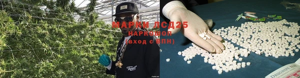 PSILOCYBIN Магадан