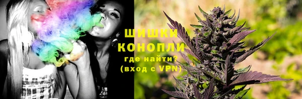 PSILOCYBIN Магадан