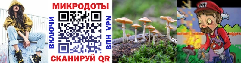 Псилоцибиновые грибы прущие грибы  Ясный 