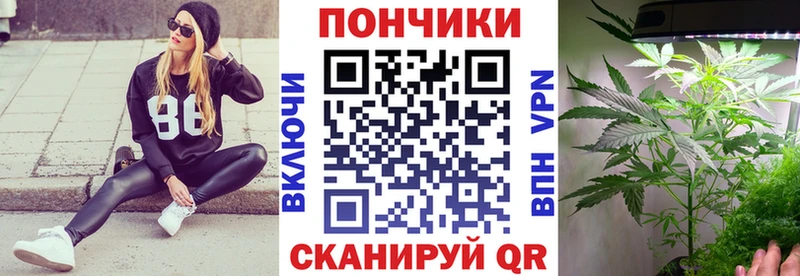 где купить наркотик  Ясный  Бошки Шишки SATIVA & INDICA 